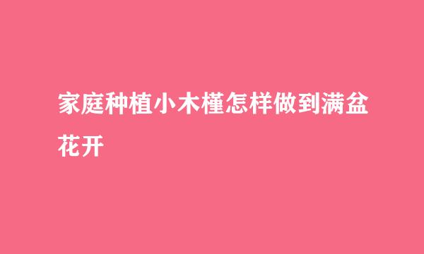 家庭种植小木槿怎样做到满盆花开