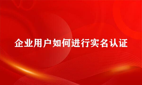 企业用户如何进行实名认证