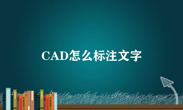 CAD怎么标注文字