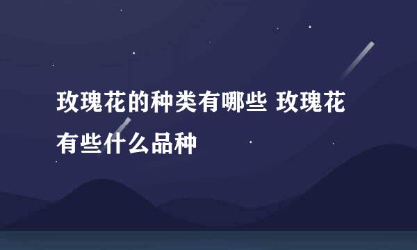 玫瑰花的种类有哪些 玫瑰花有些什么品种