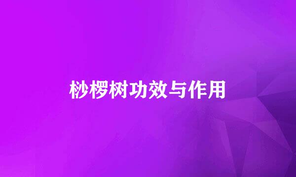 桫椤树功效与作用