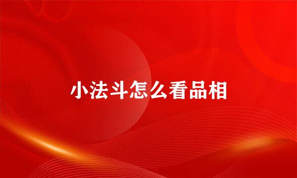 小法斗怎么看品相