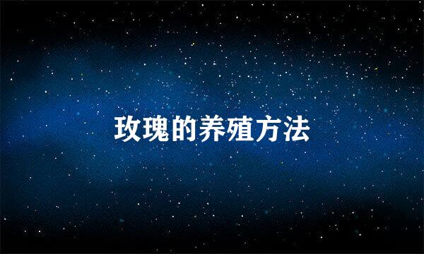 玫瑰的养殖方法