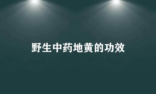 野生中药地黄的功效