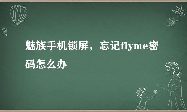 魅族手机锁屏,忘记flyme密码怎么办