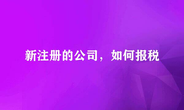 新注册的公司,如何报税