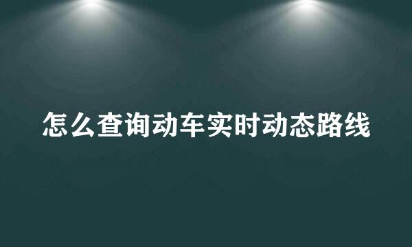 怎么查询动车实时动态路线