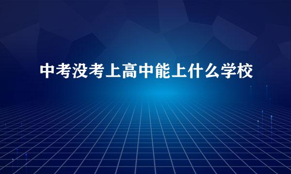 中考没考上高中能上什么学校