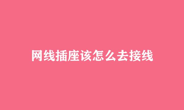 网线插座该怎么去接线