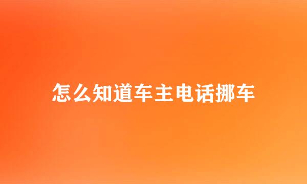怎么知道车主电话挪车