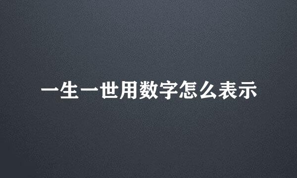 一生一世用数字怎么表示