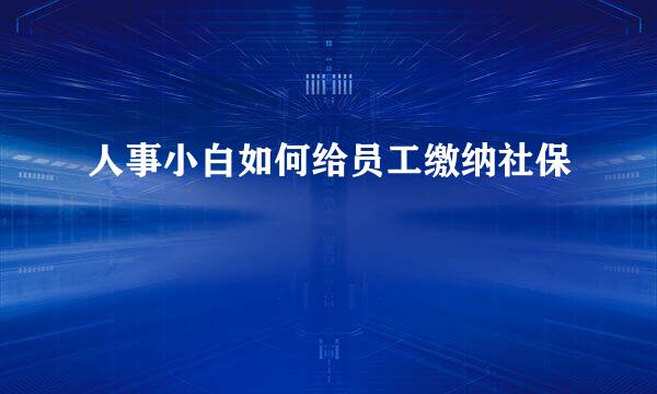 人事小白如何给员工缴纳社保