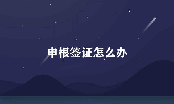 申根签证怎么办