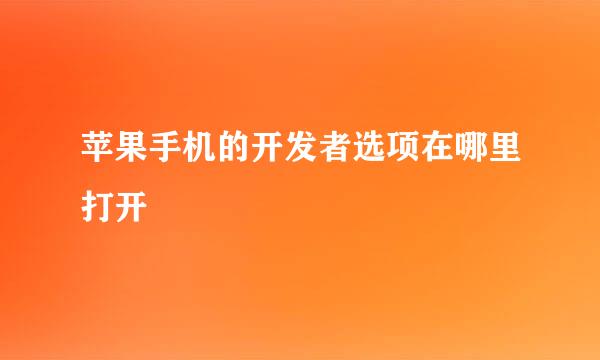 苹果手机的开发者选项在哪里打开