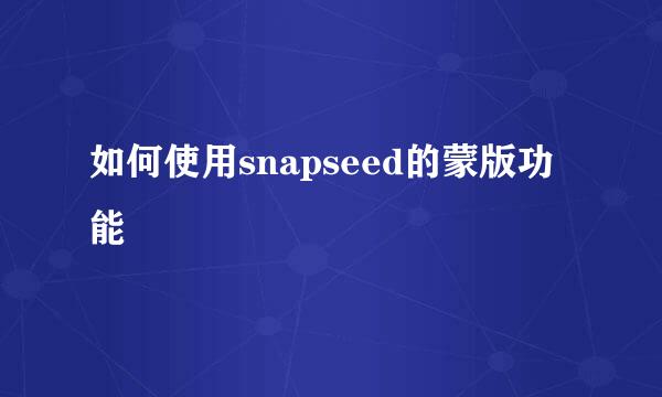 如何使用snapseed的蒙版功能