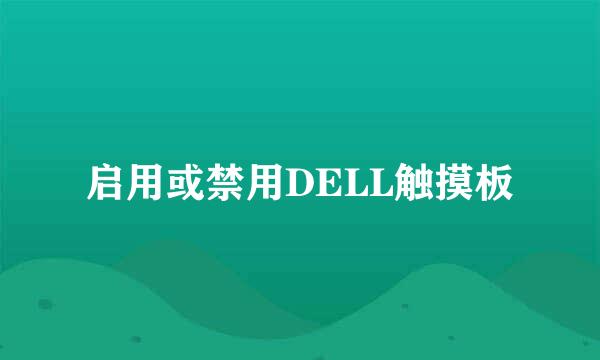 启用或禁用DELL触摸板