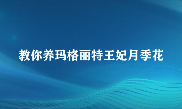 教你养玛格丽特王妃月季花