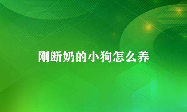刚断奶的小狗怎么养