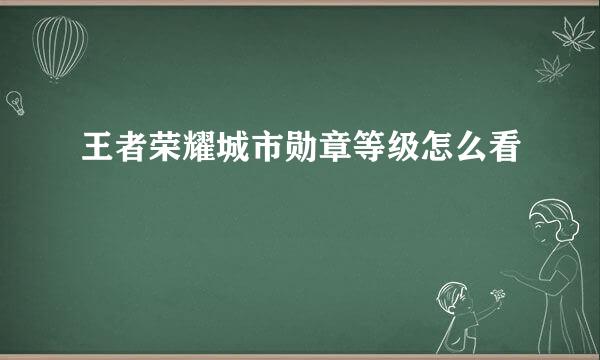 王者荣耀城市勋章等级怎么看