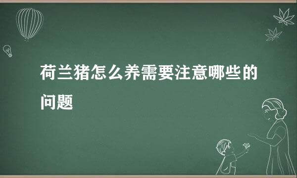 荷兰猪怎么养需要注意哪些的问题