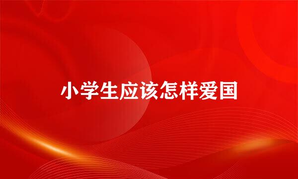 小学生应该怎样爱国