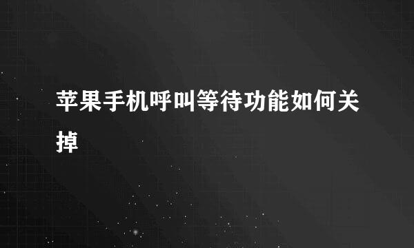 苹果手机呼叫等待功能如何关掉