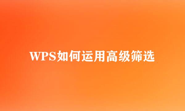 WPS如何运用高级筛选