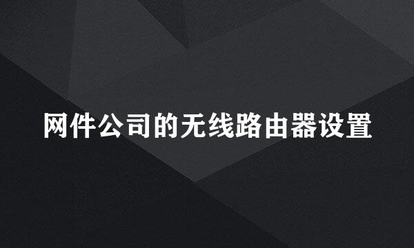 网件公司的无线路由器设置