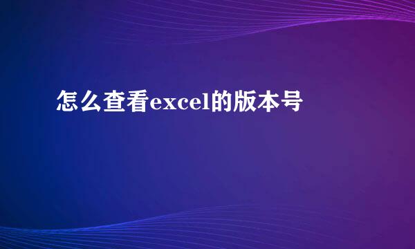 怎么查看excel的版本号