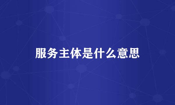 服务主体是什么意思