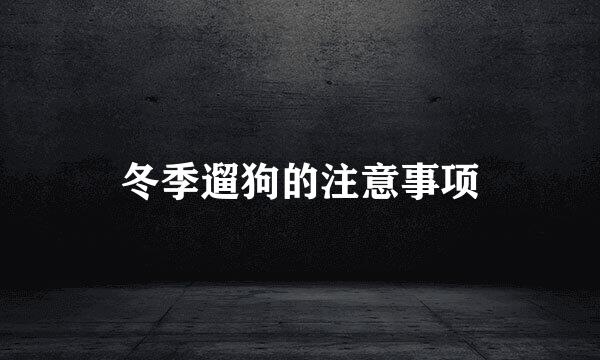 冬季遛狗的注意事项