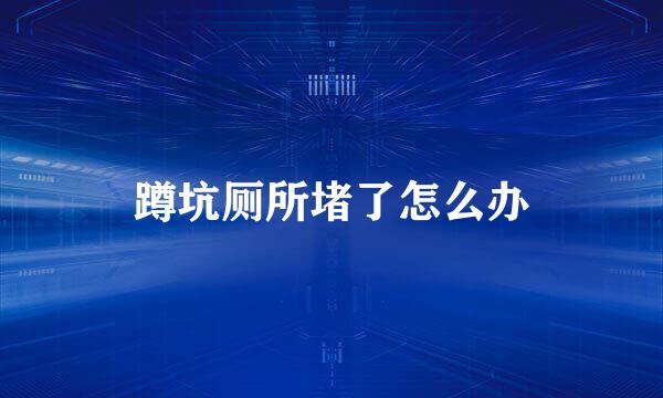 蹲坑厕所堵了怎么办