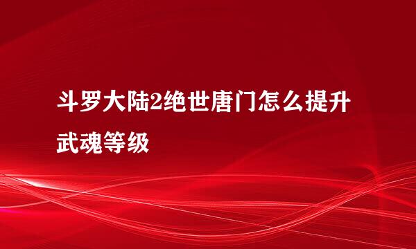 斗罗大陆2绝世唐门怎么提升武魂等级