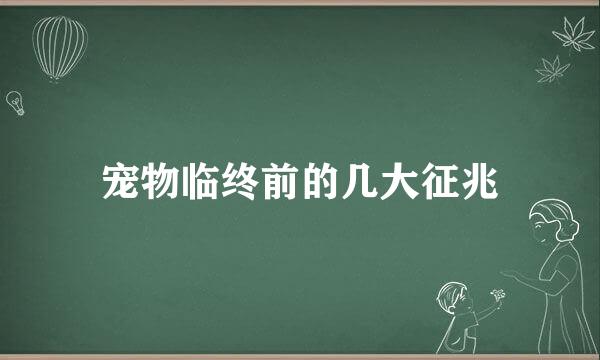 宠物临终前的几大征兆