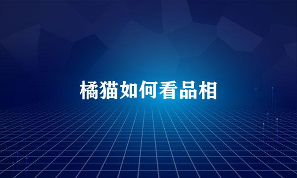 橘猫如何看品相