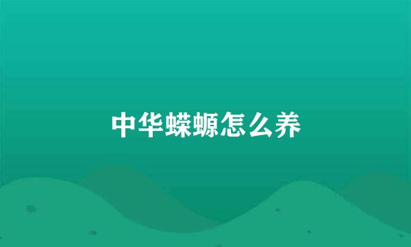 中华蝾螈怎么养