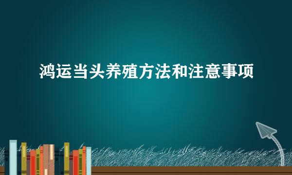 鸿运当头养殖方法和注意事项