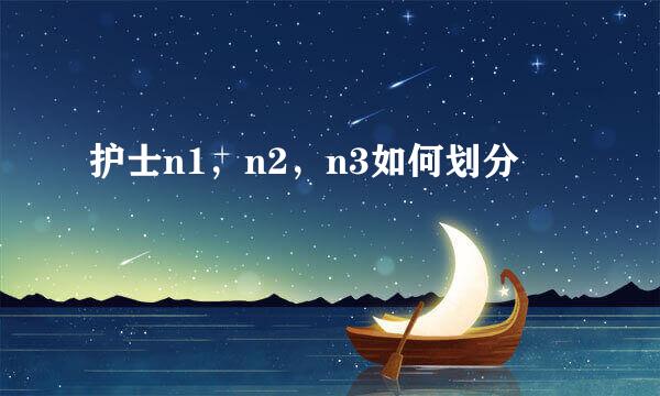 护士n1,n2,n3如何划分