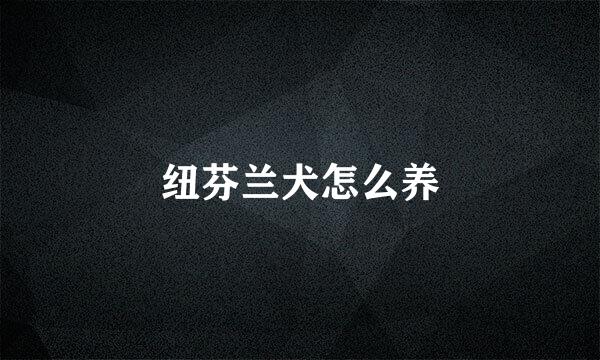 纽芬兰犬怎么养