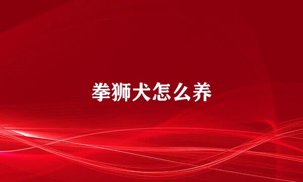 拳狮犬怎么养