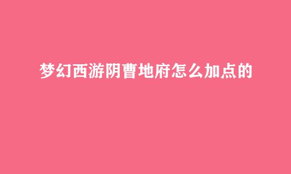 梦幻西游阴曹地府怎么加点的