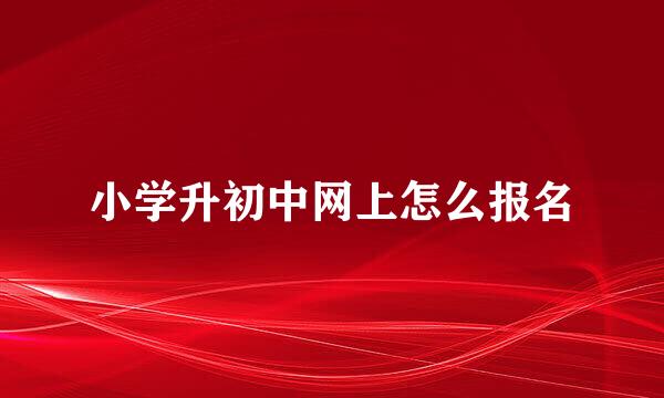 小学升初中网上怎么报名