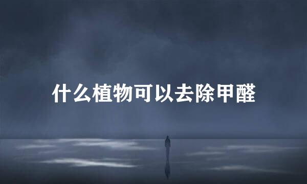 什么植物可以去除甲醛