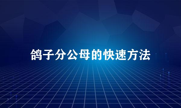 鸽子分公母的快速方法