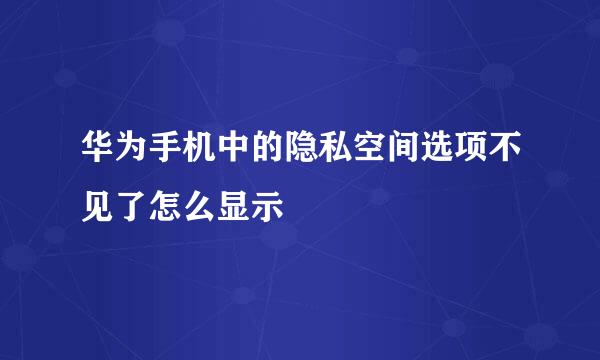华为手机中的隐私空间选项不见了怎么显示