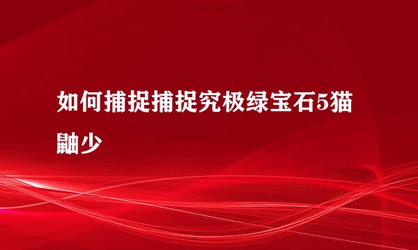 如何捕捉捕捉究极绿宝石5猫鼬少