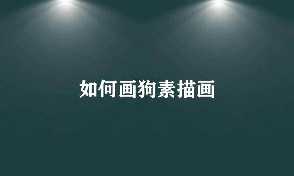如何画狗素描画