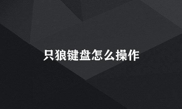 只狼键盘怎么操作