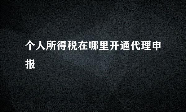 个人所得税在哪里开通代理申报