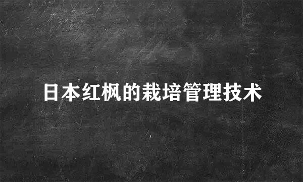 日本红枫的栽培管理技术